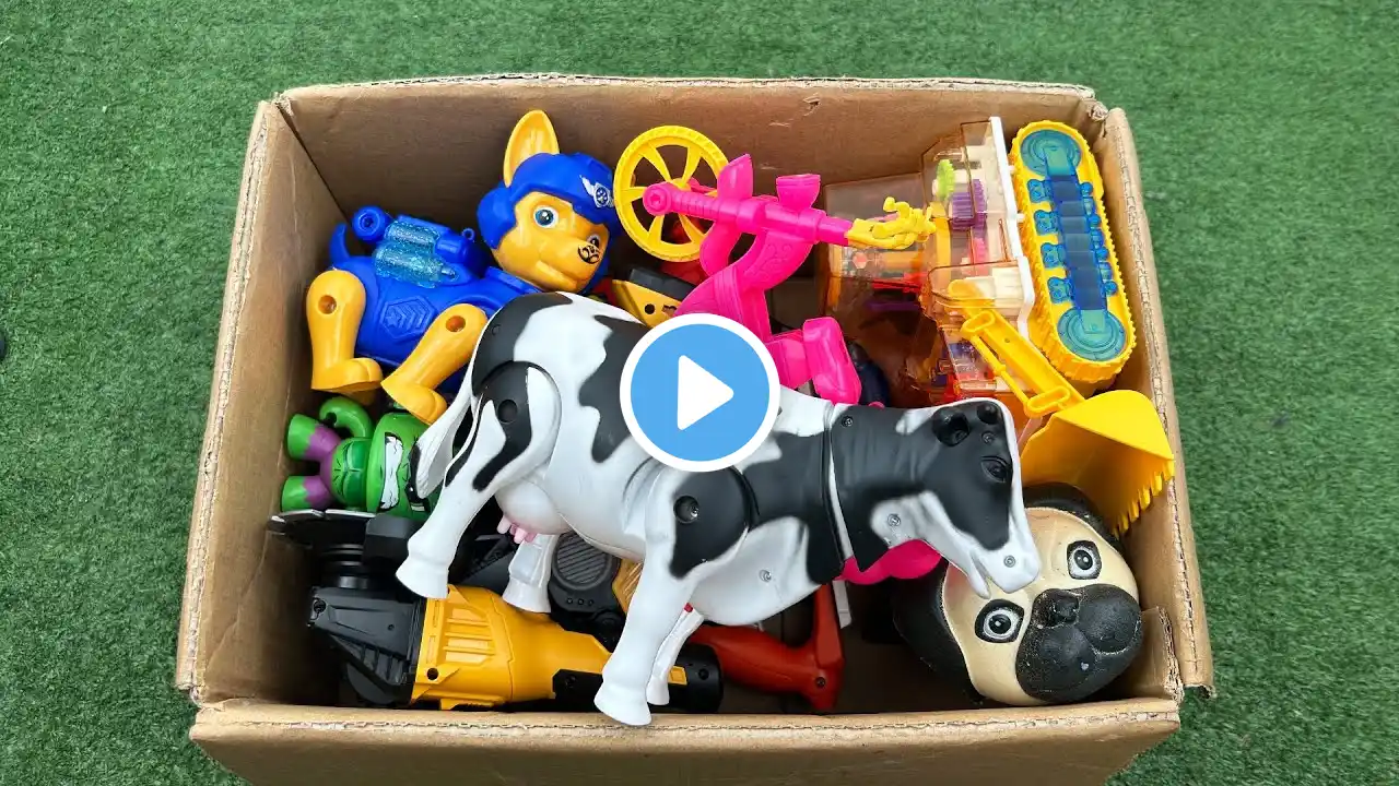 ภาพตัวอย่างวิดีโอ