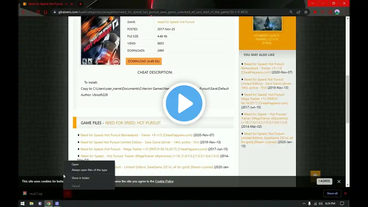 ภาพตัวอย่างวิดีโอ
