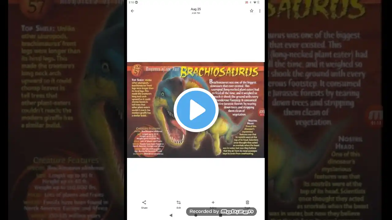 ภาพตัวอย่างวิดีโอ