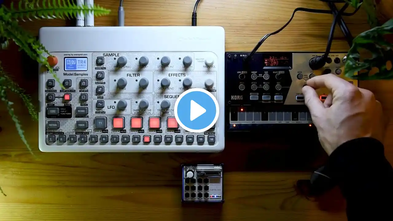 ภาพตัวอย่างวิดีโอ