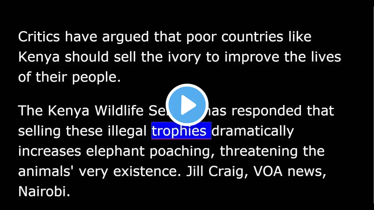 ภาพตัวอย่างวิดีโอ