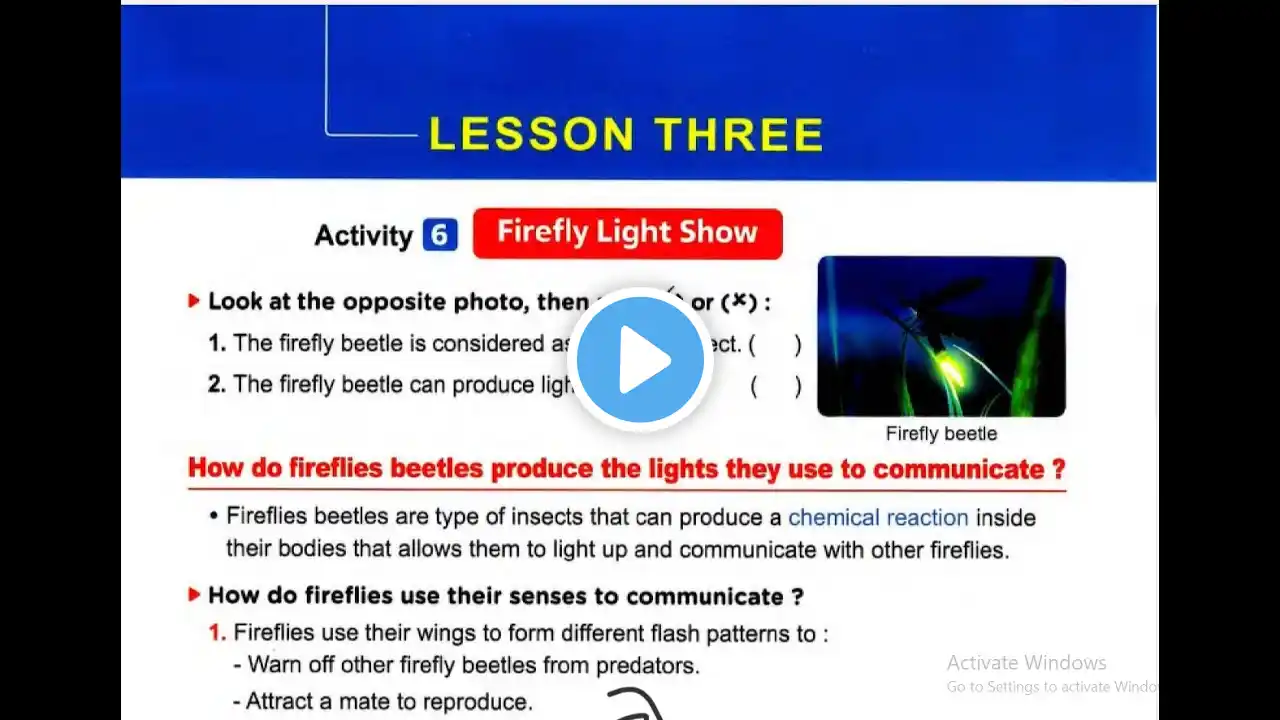 ภาพตัวอย่างวิดีโอ