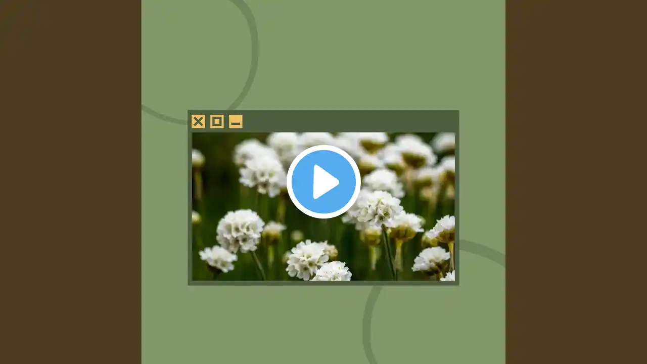 ภาพตัวอย่างวิดีโอ