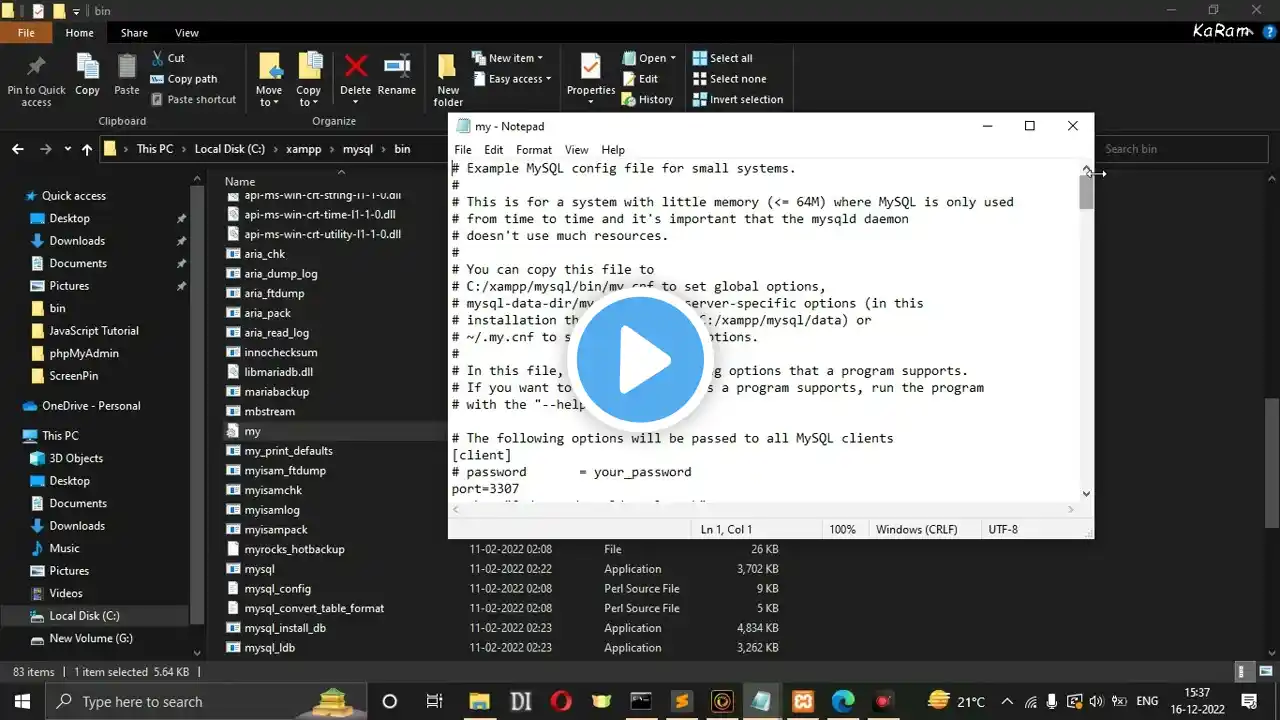 ภาพตัวอย่างวิดีโอ