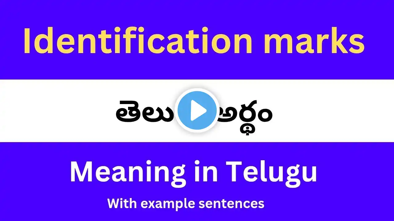 ภาพตัวอย่างวิดีโอ