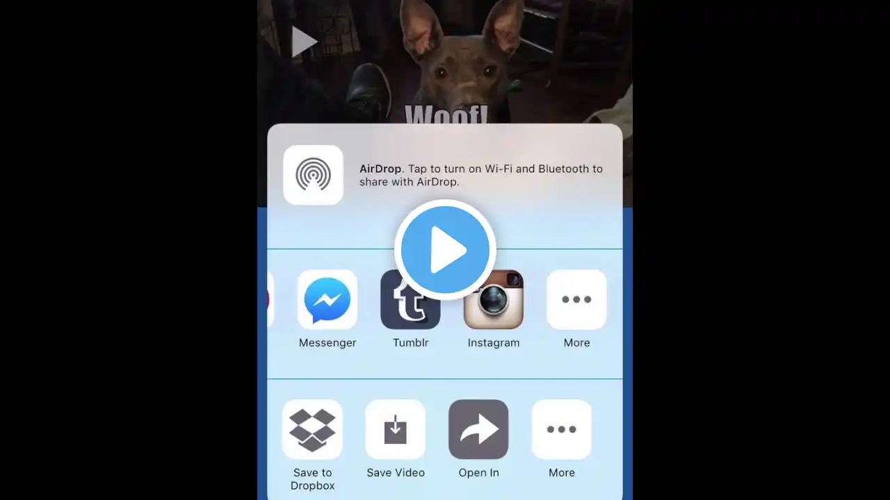 ภาพตัวอย่างวิดีโอ