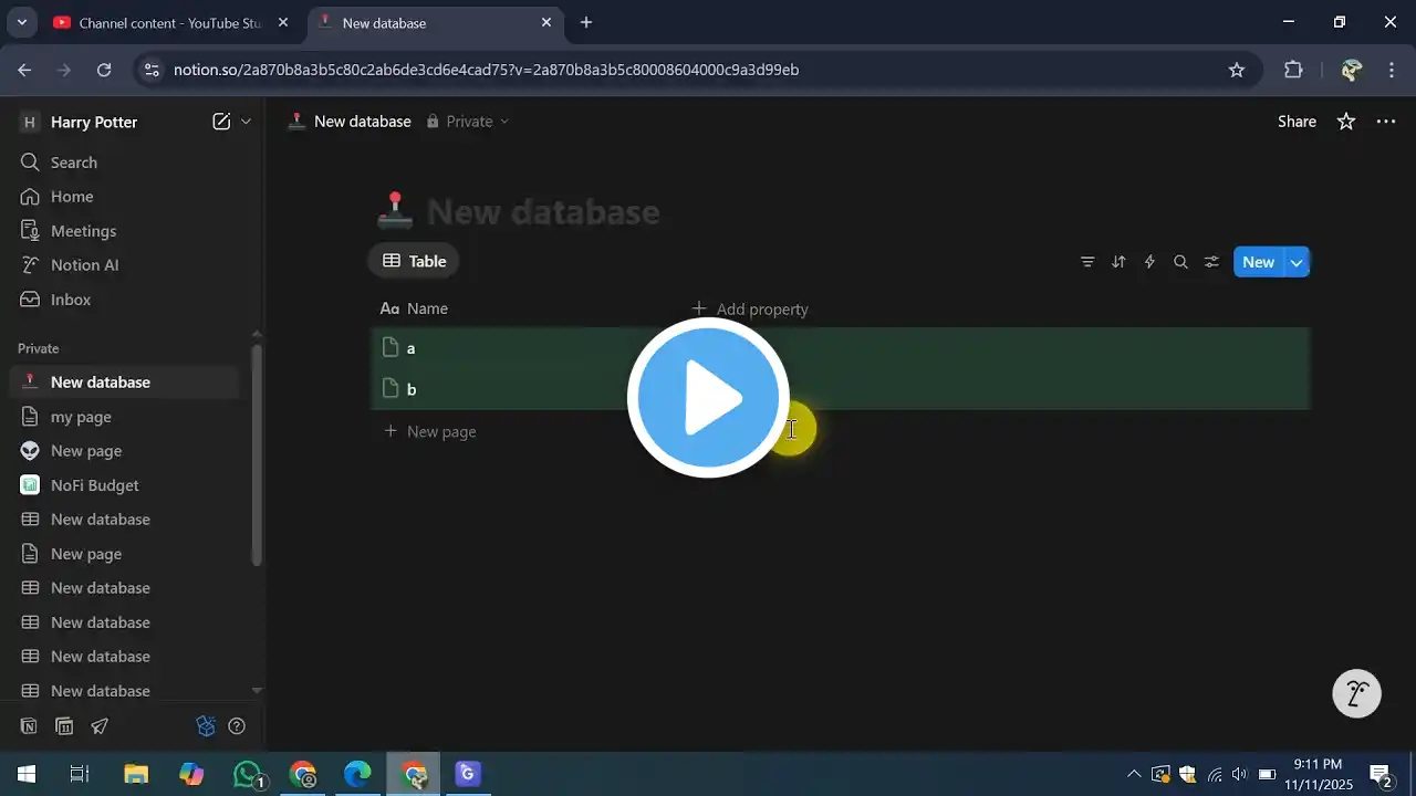 ภาพตัวอย่างวิดีโอ