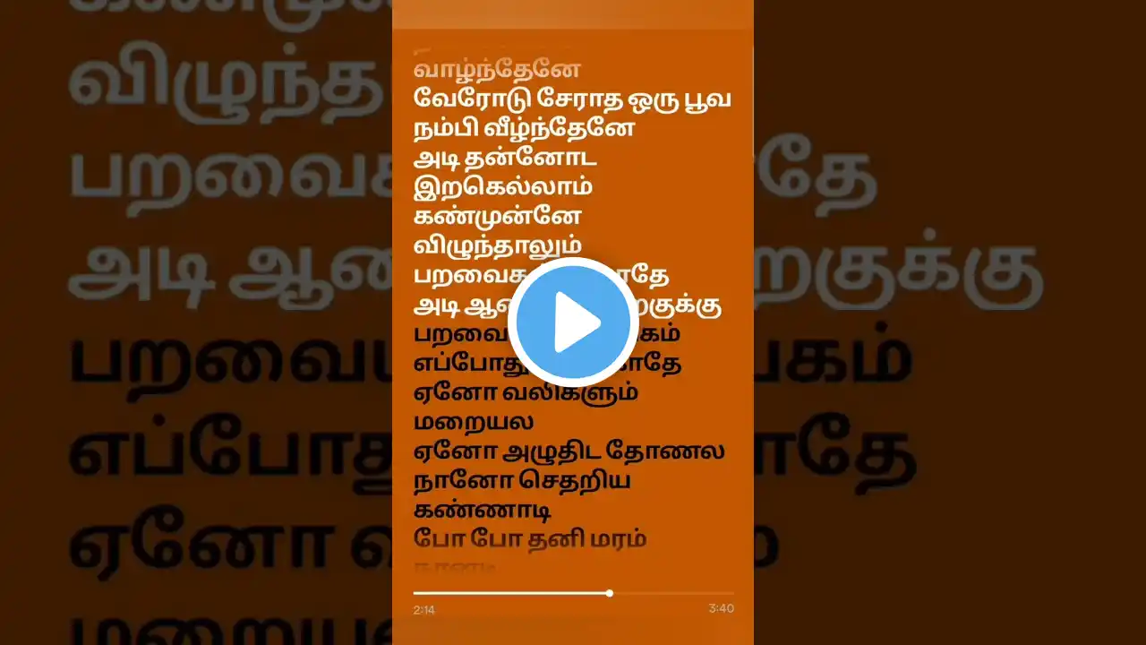 ภาพตัวอย่างวิดีโอ