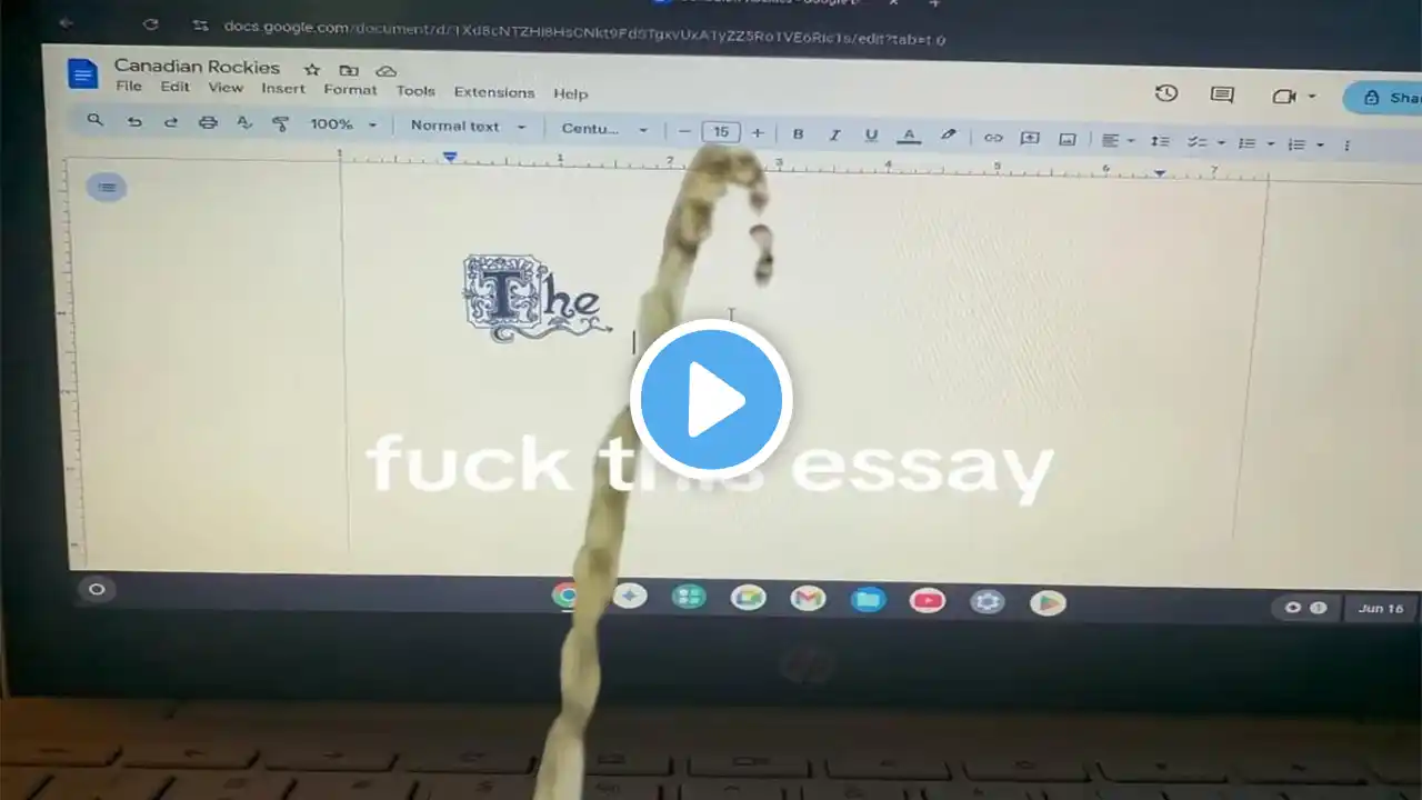 ภาพตัวอย่างวิดีโอ