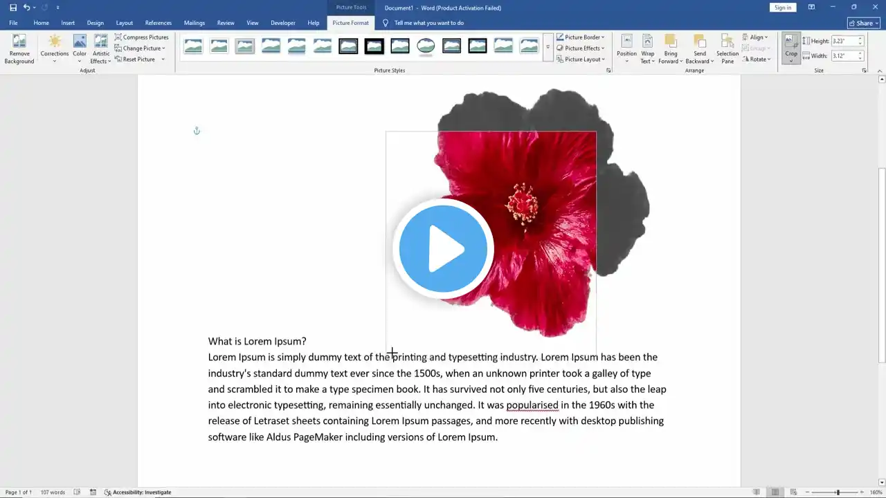 ภาพตัวอย่างวิดีโอ