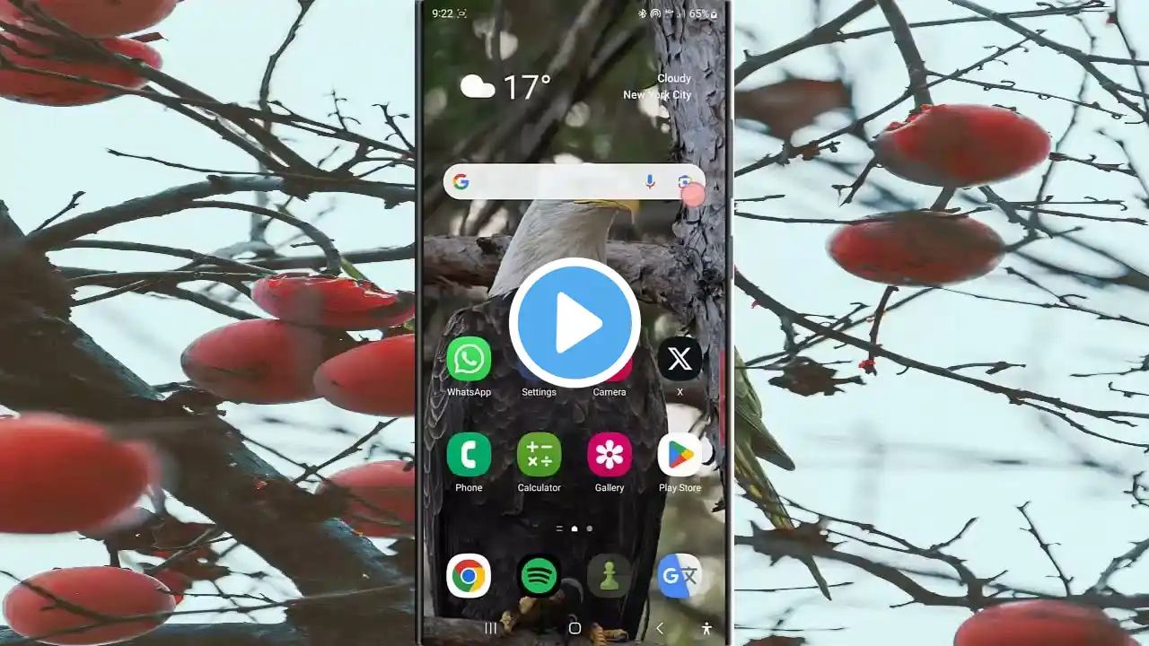 ภาพตัวอย่างวิดีโอ