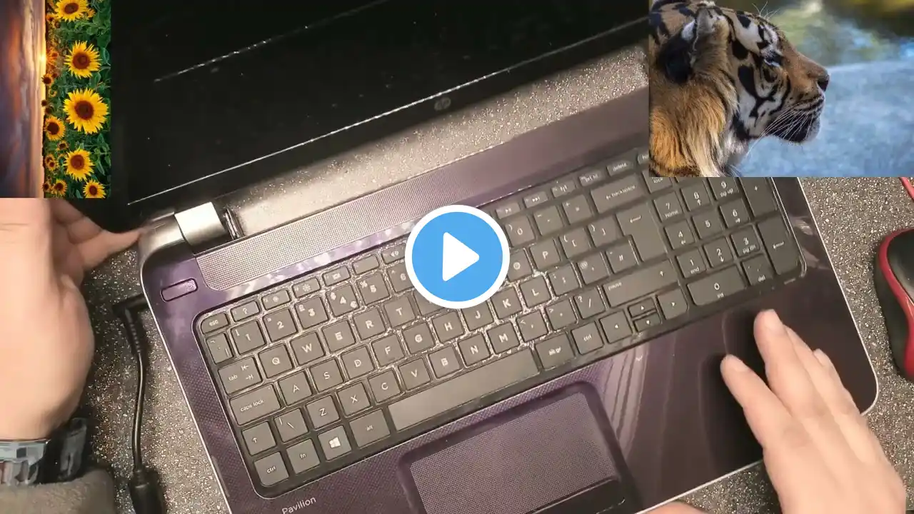 ภาพตัวอย่างวิดีโอ