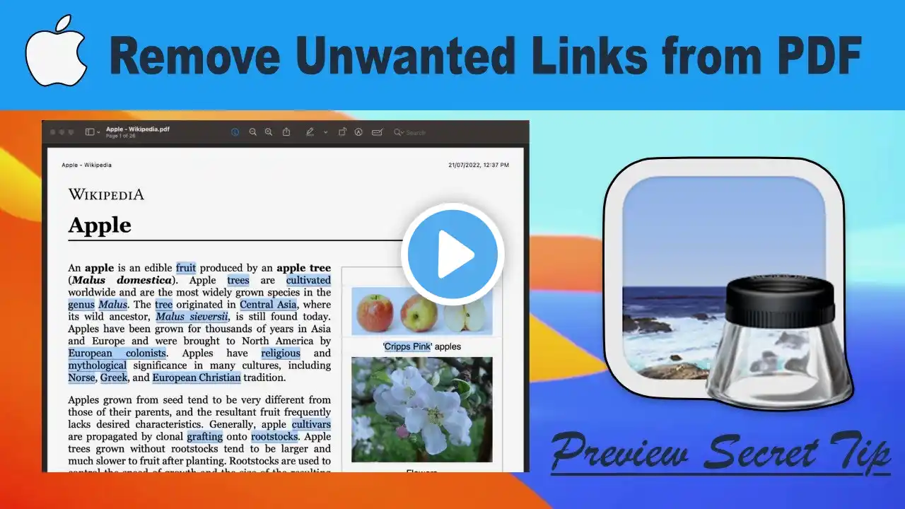 ภาพตัวอย่างวิดีโอ