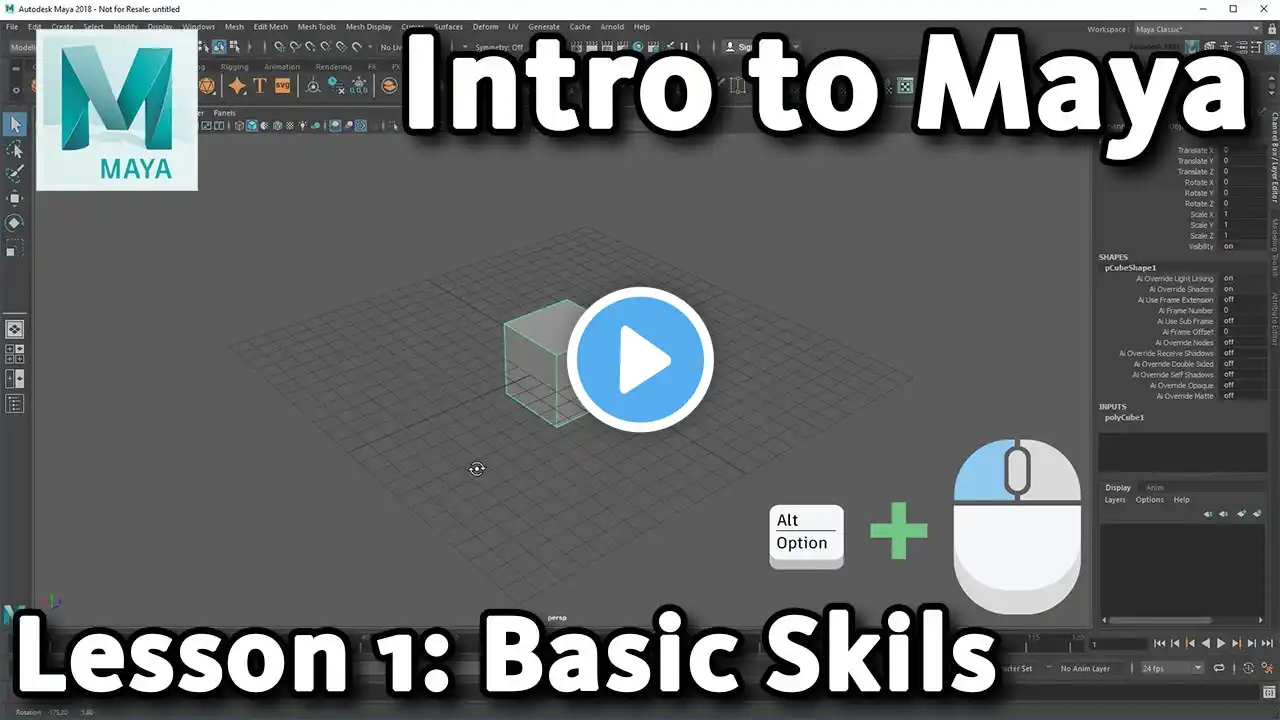 ภาพตัวอย่างวิดีโอ