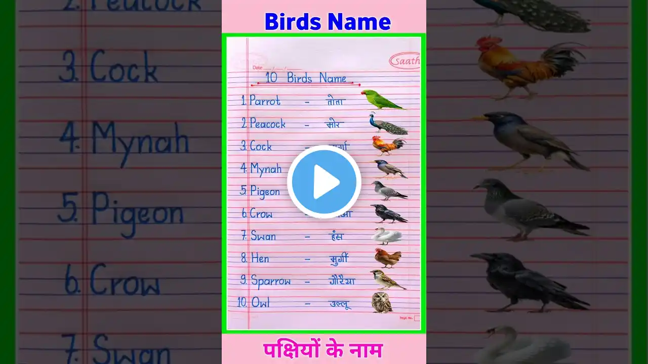 ภาพตัวอย่างวิดีโอ