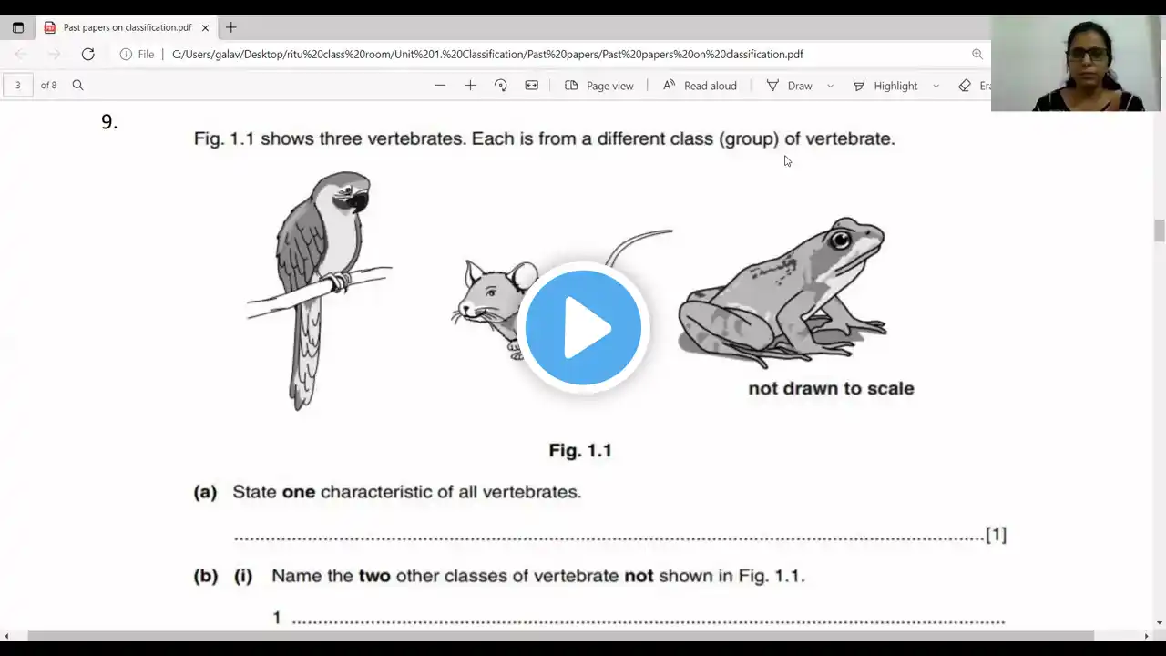 ภาพตัวอย่างวิดีโอ