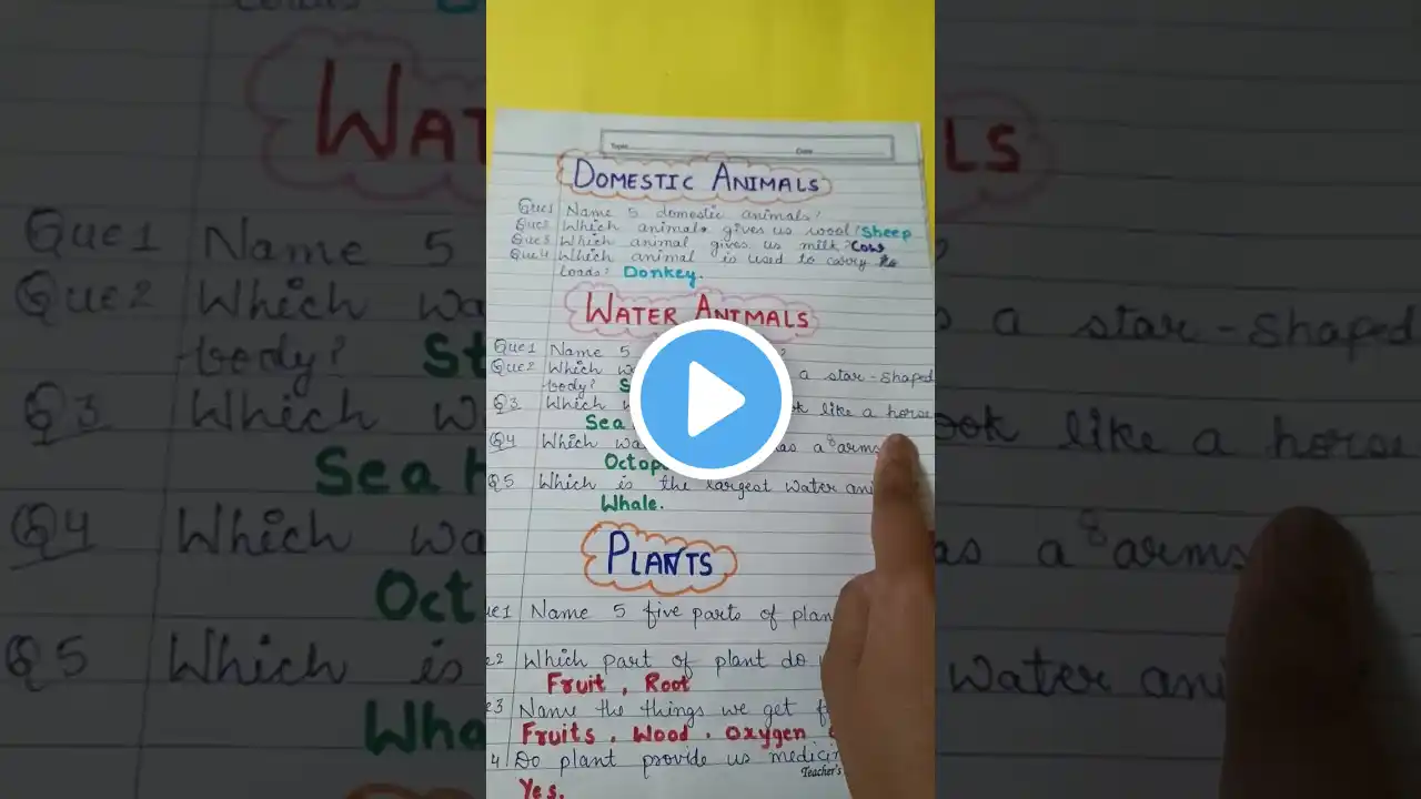 ภาพตัวอย่างวิดีโอ