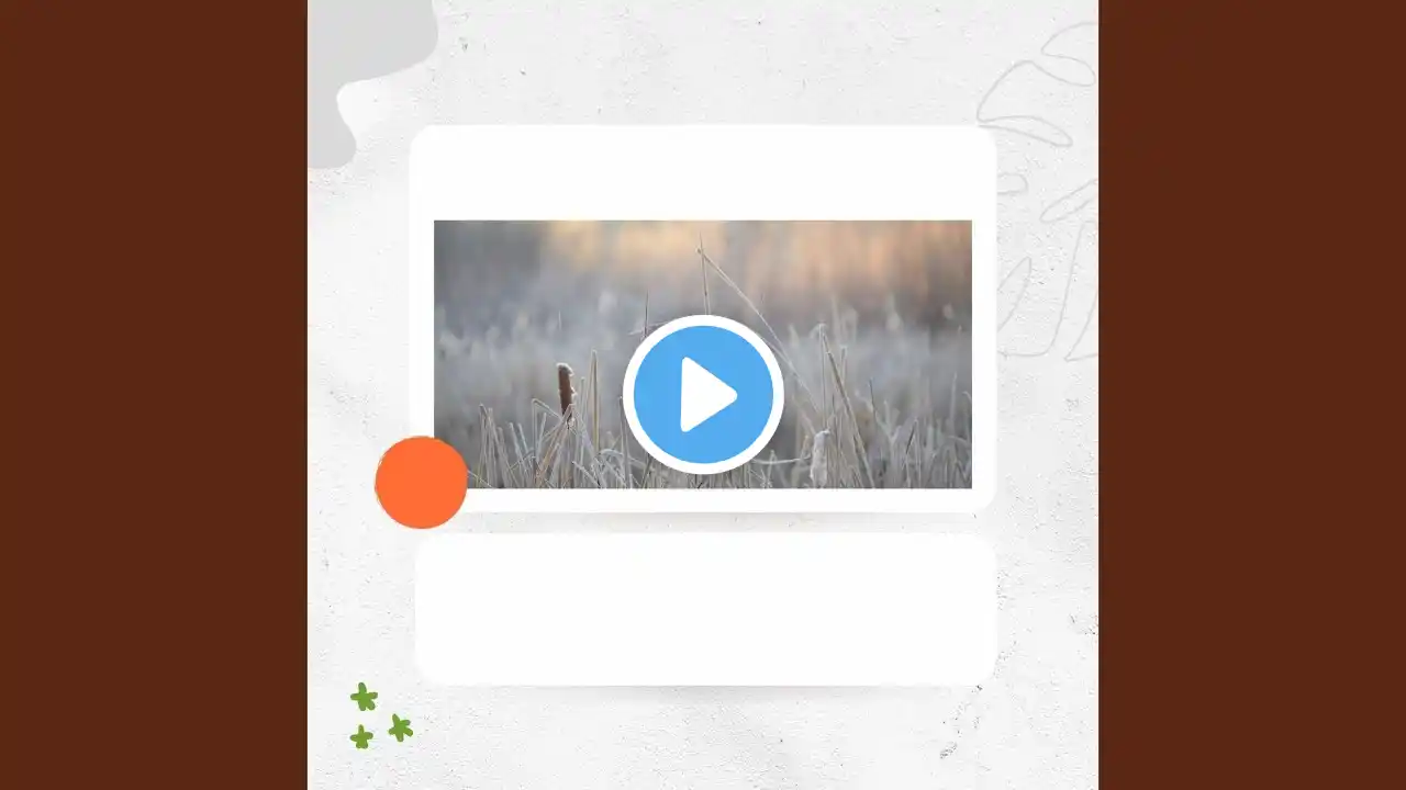 ภาพตัวอย่างวิดีโอ
