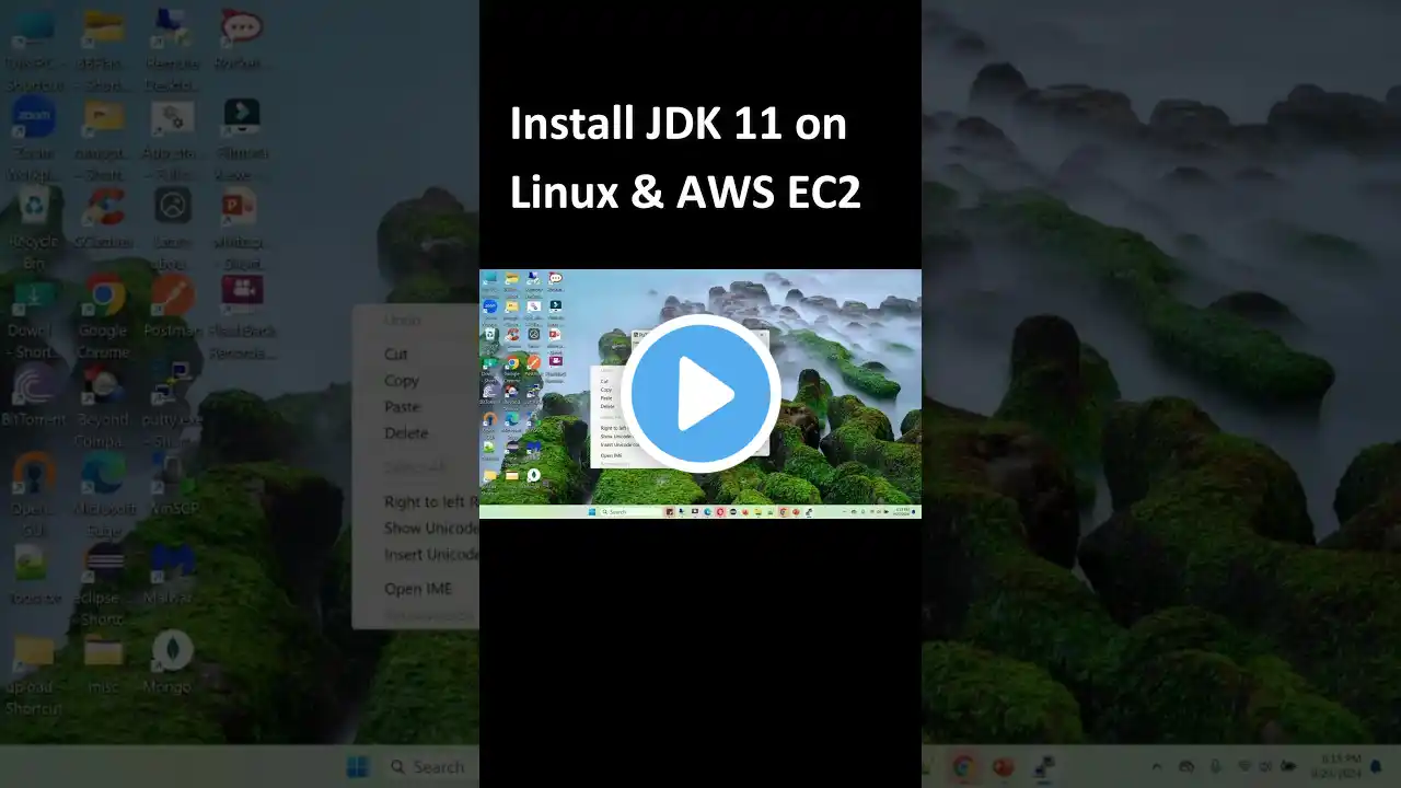 ภาพตัวอย่างวิดีโอ