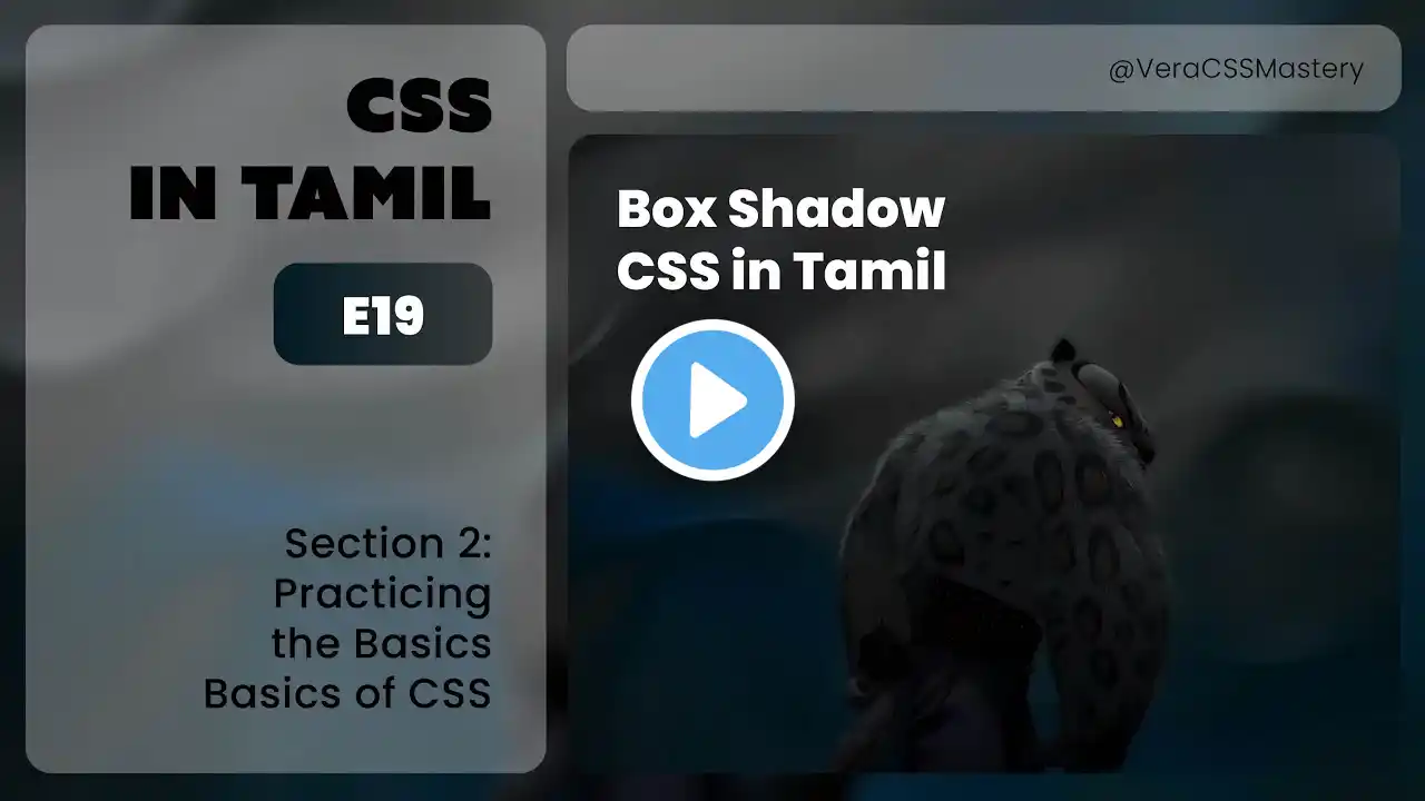 ภาพตัวอย่างวิดีโอ