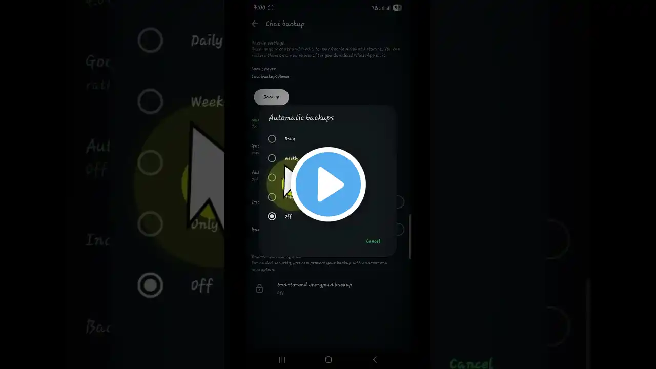 ภาพตัวอย่างวิดีโอ