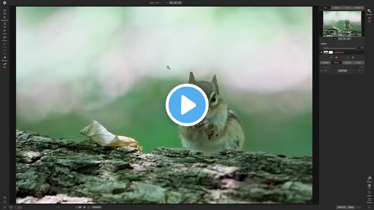 ภาพตัวอย่างวิดีโอ