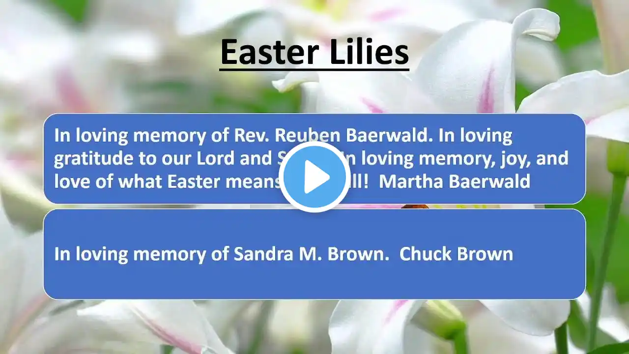 ภาพตัวอย่างวิดีโอ