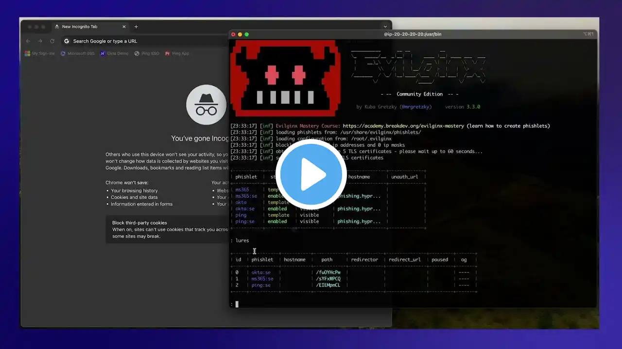 ภาพตัวอย่างวิดีโอ