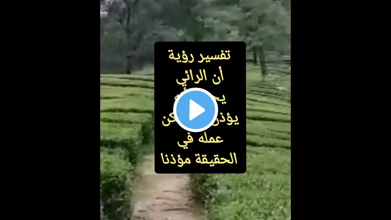 ภาพตัวอย่างวิดีโอ