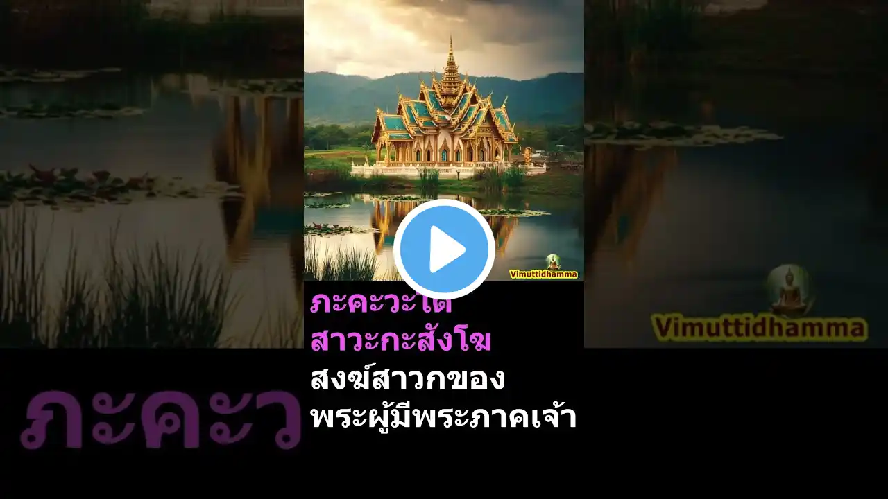 ภาพตัวอย่างวิดีโอ