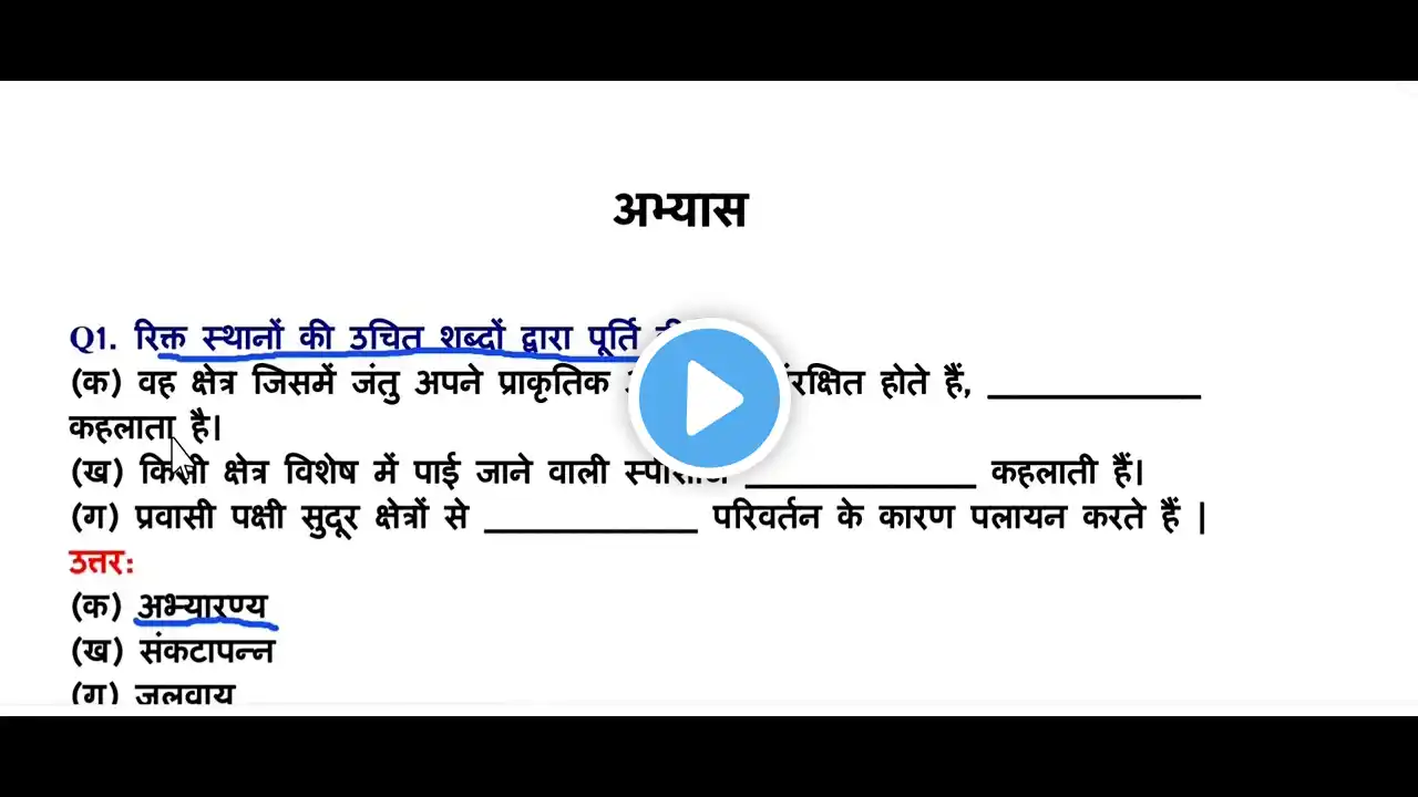 ภาพตัวอย่างวิดีโอ