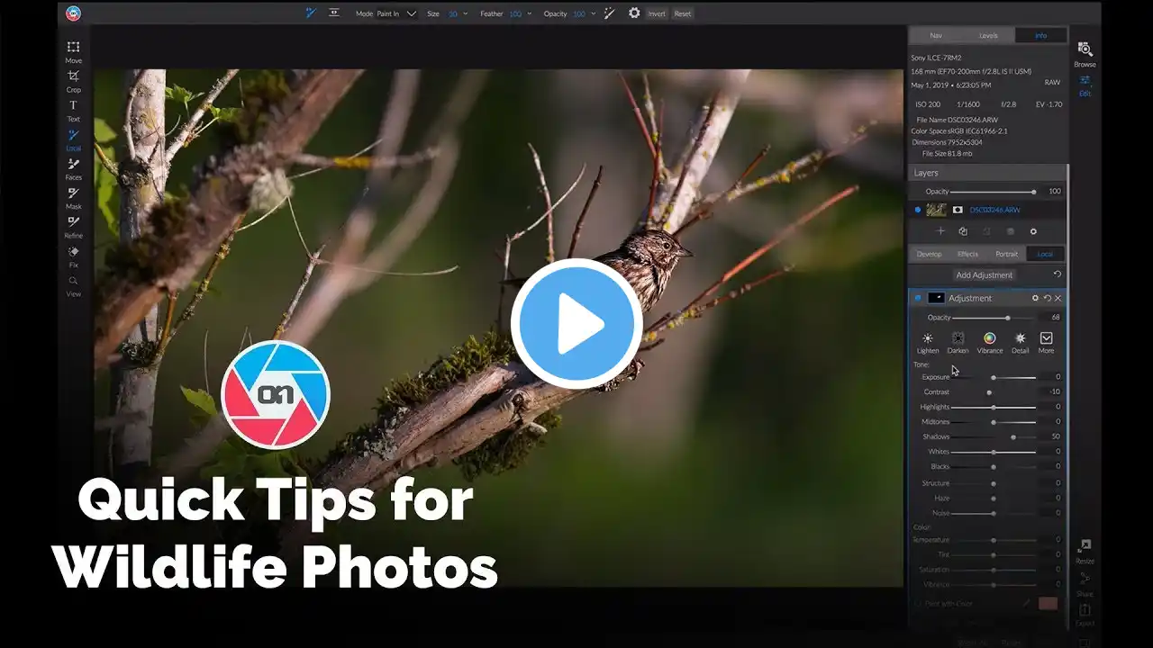 ภาพตัวอย่างวิดีโอ
