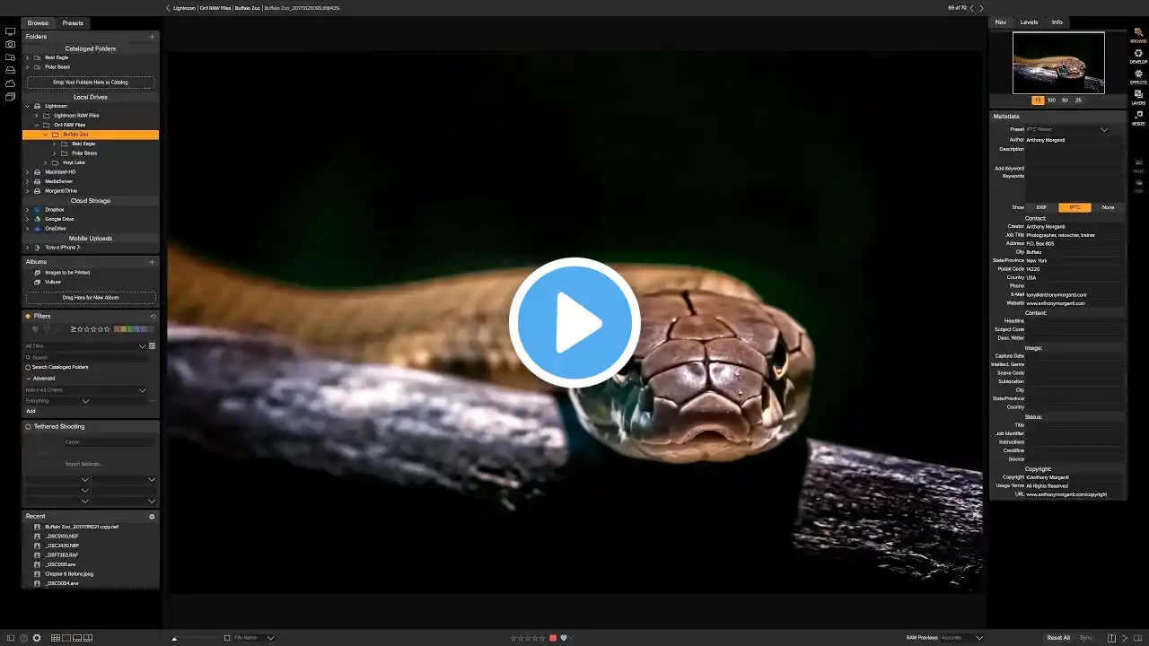 ภาพตัวอย่างวิดีโอ