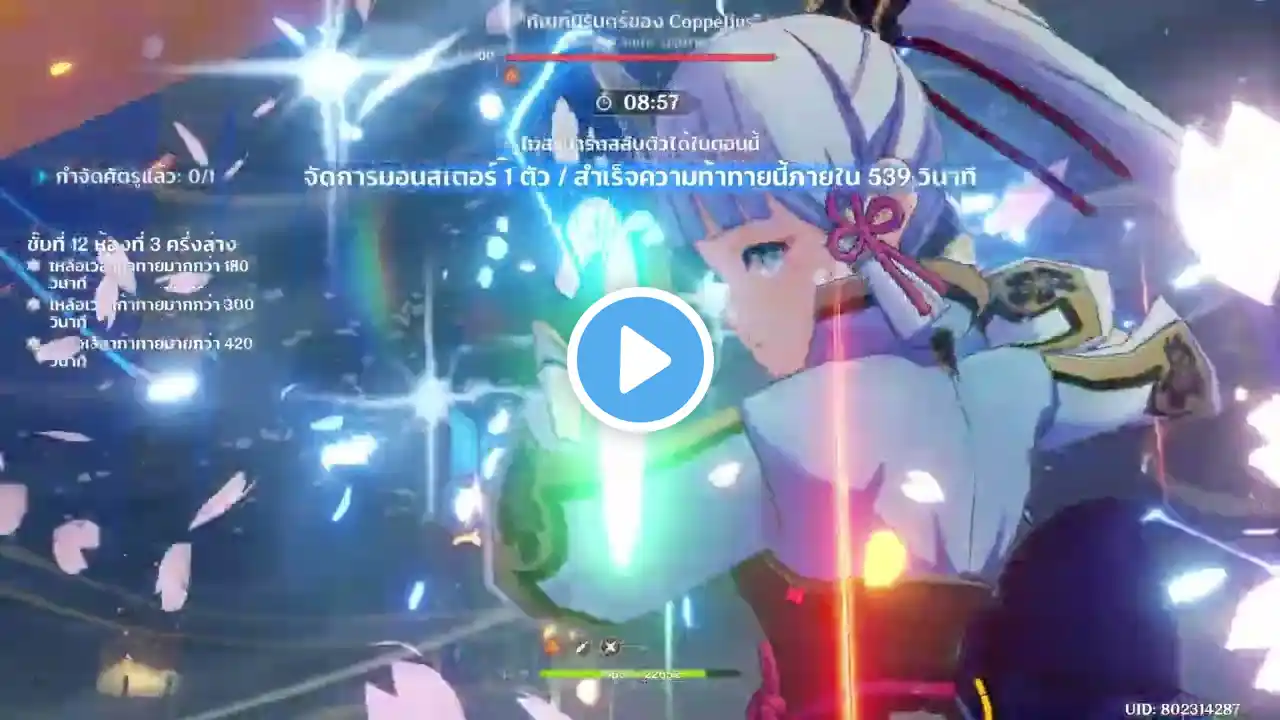 ภาพตัวอย่างวิดีโอ