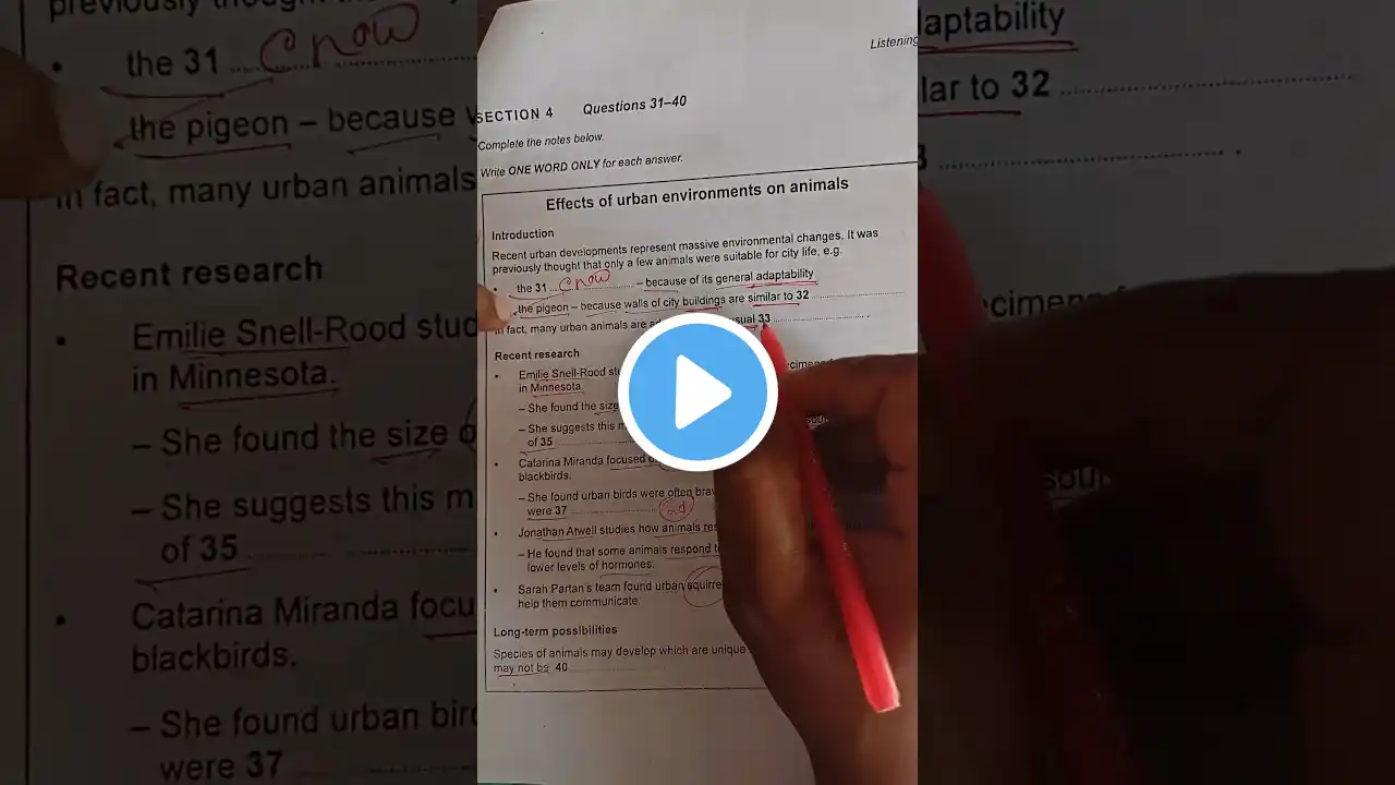 ภาพตัวอย่างวิดีโอ