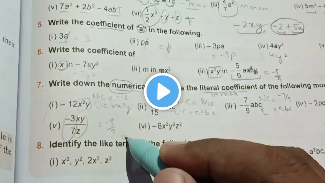 ภาพตัวอย่างวิดีโอ