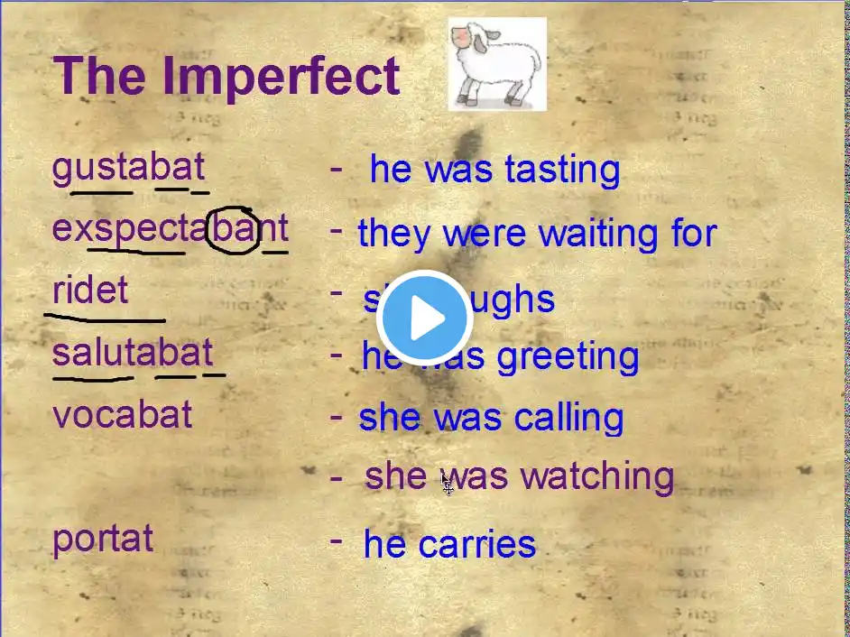 ภาพตัวอย่างวิดีโอ