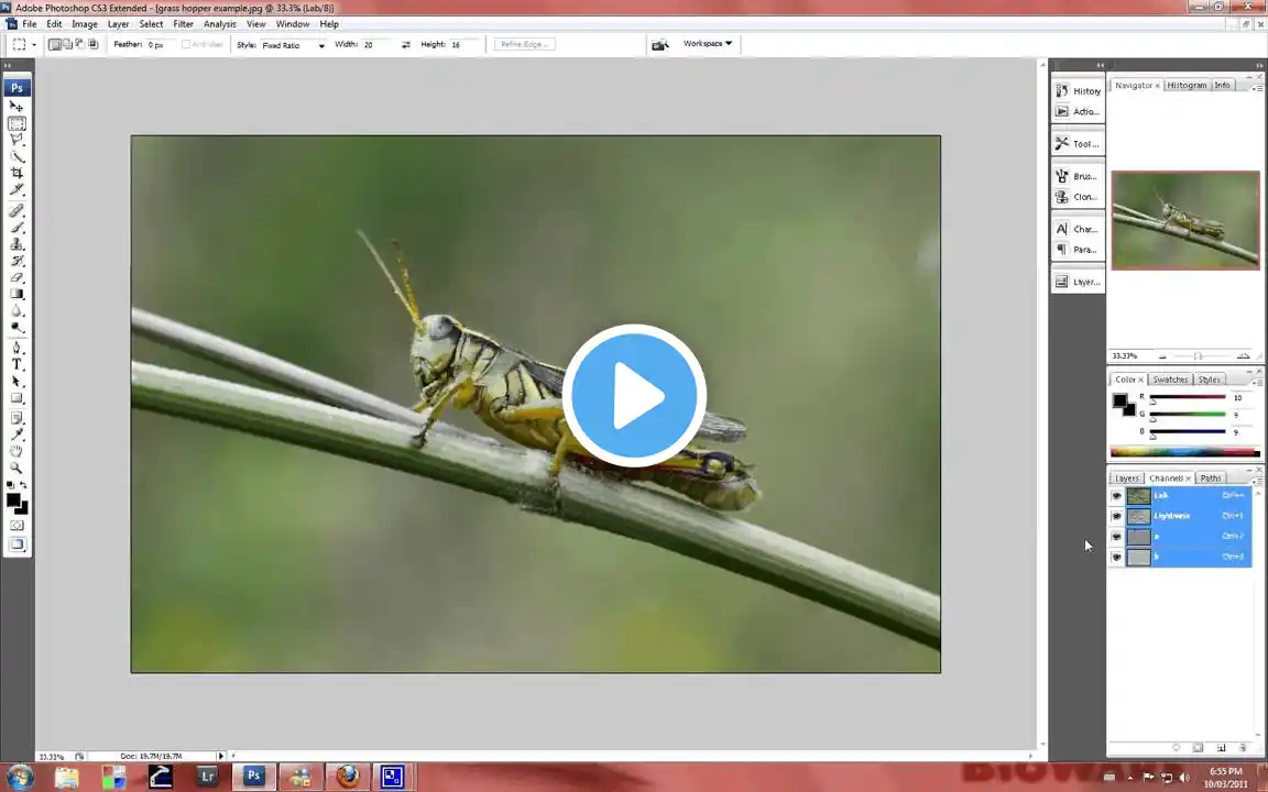 ภาพตัวอย่างวิดีโอ