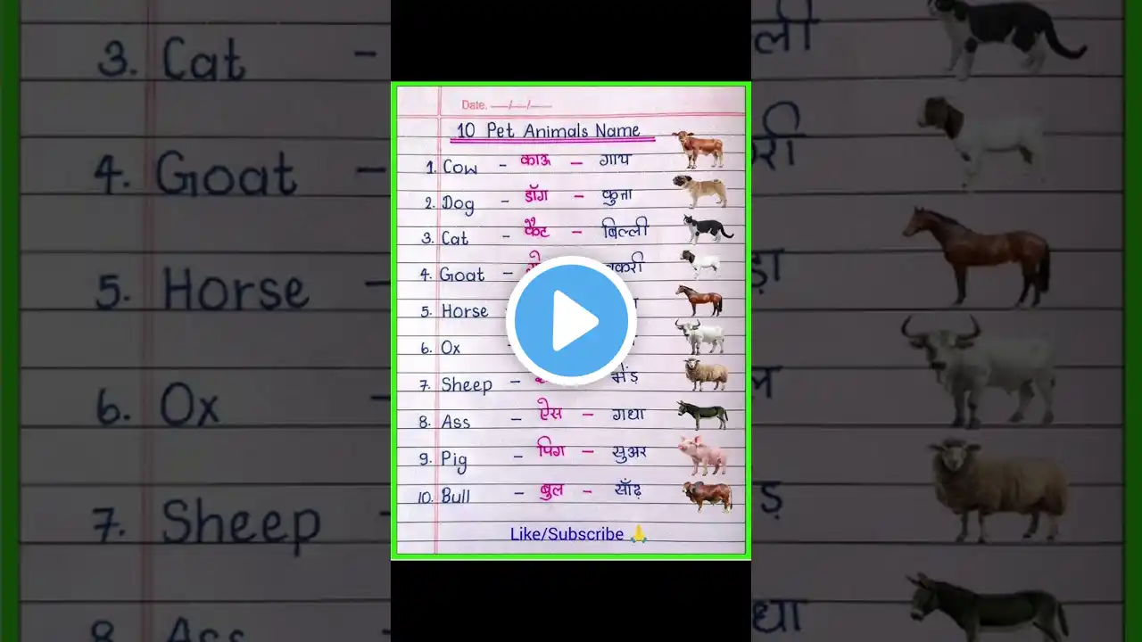 ภาพตัวอย่างวิดีโอ