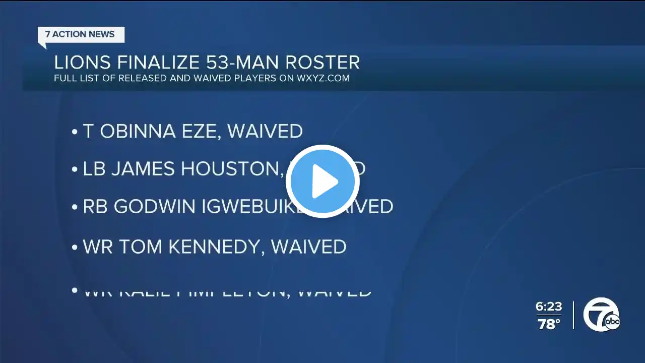 ภาพตัวอย่างวิดีโอ