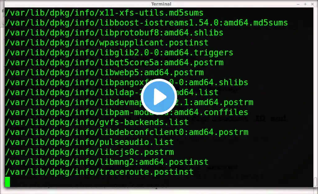 ภาพตัวอย่างวิดีโอ