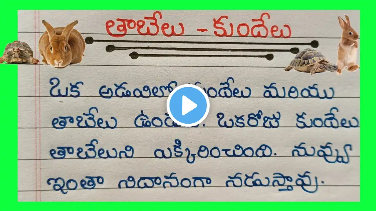 ภาพตัวอย่างวิดีโอ