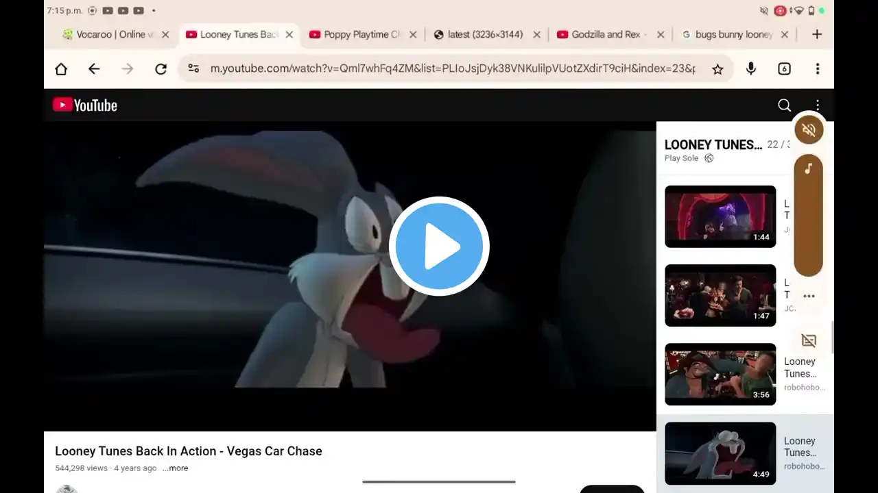 ภาพตัวอย่างวิดีโอ