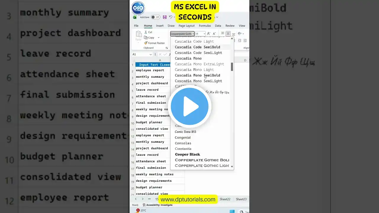 ภาพตัวอย่างวิดีโอ