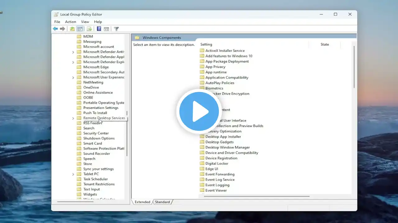 ภาพตัวอย่างวิดีโอ