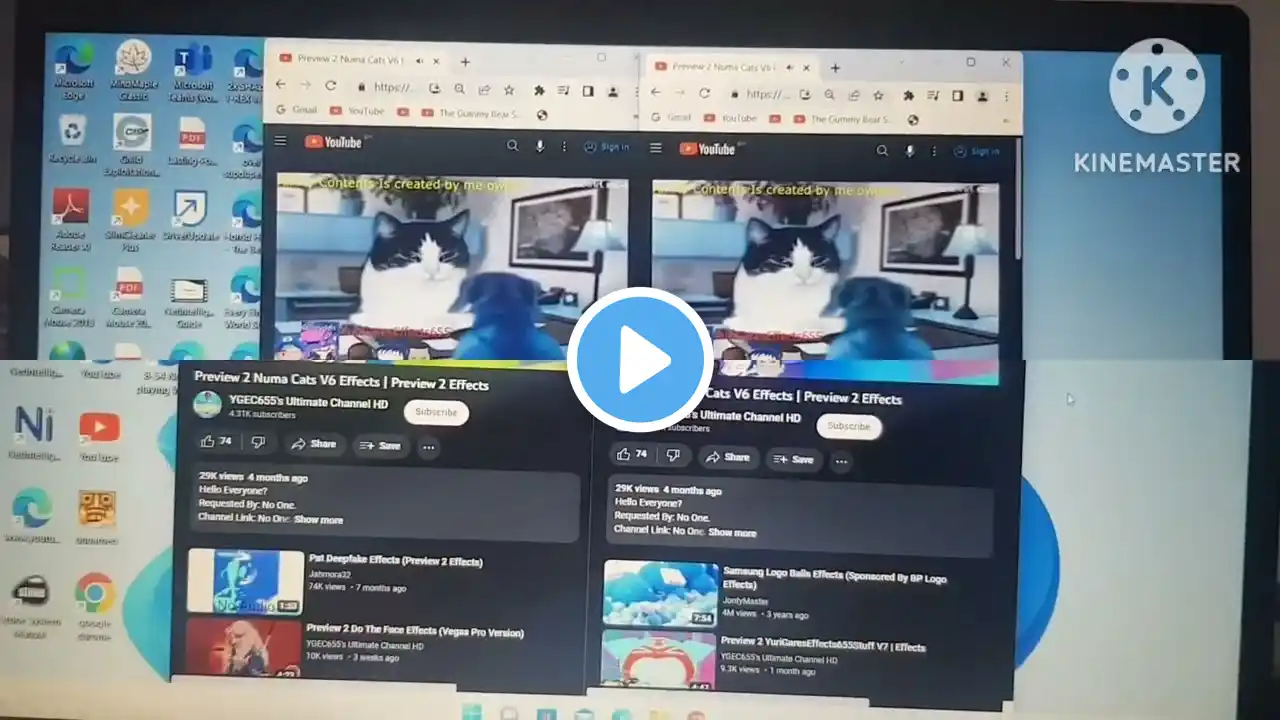 ภาพตัวอย่างวิดีโอ
