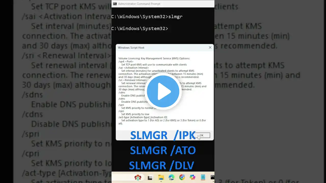 ภาพตัวอย่างวิดีโอ